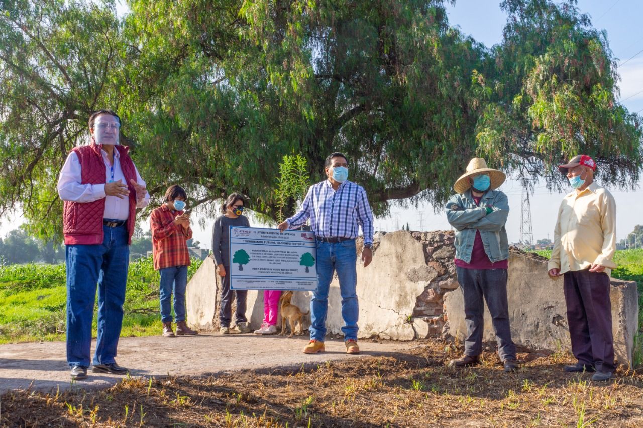 Gobierno de Atenco Arranca reforestación de ahuehuetes símbolo cultural del municipio 
