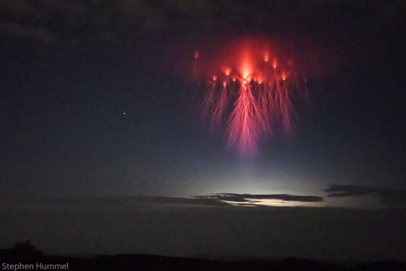Raro fenómeno: captan una impresionante "medusa roja" en el cielo de Texas
