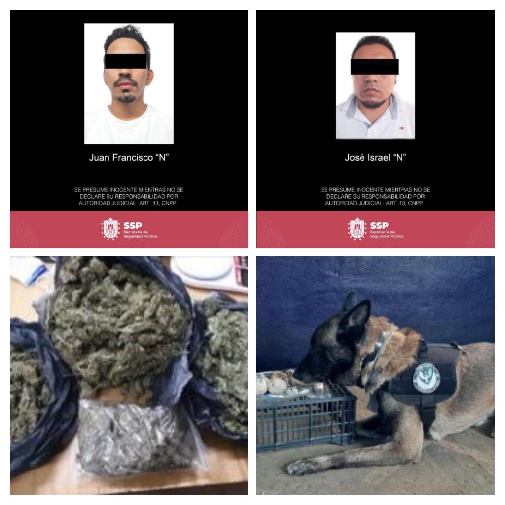 Agentes caninos detectan droga en CAXA y CERESO de Pacho Viejo Veracruz, hay dos detenidos