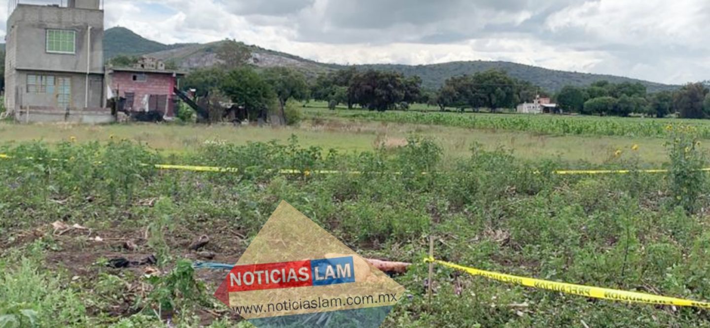 Semidesnuda y con diversas heridas en su cuerpo, una mujer fue hallada sin vida en ejidos de san Pedro Tepetitlán Acolman