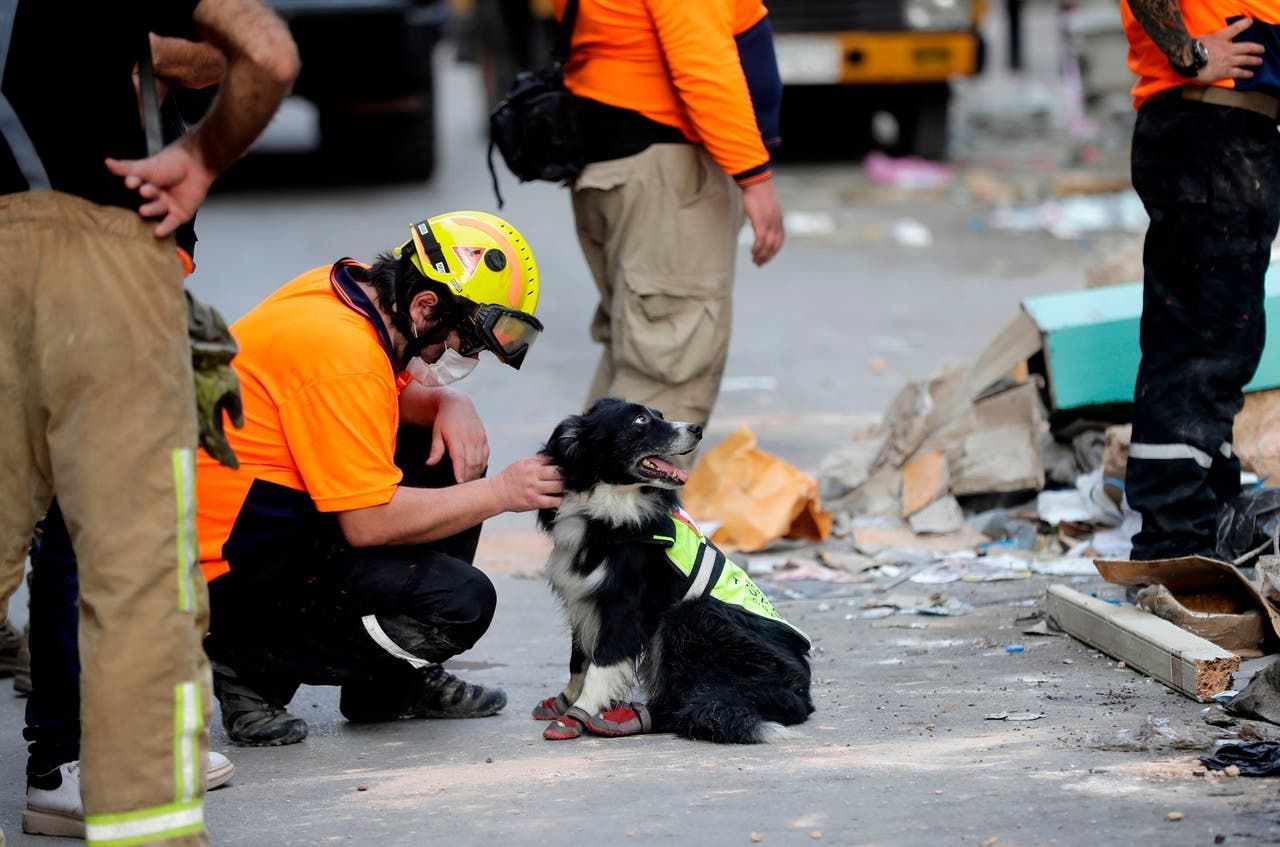 A tres metros de las señales de vida: un perro chileno protagonista del rescate en Beirut
