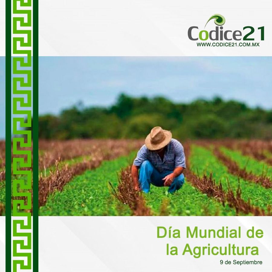 Día mundial de la agricultura 