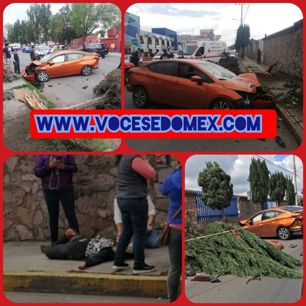 Un vehículo atropella a mujer  y a su paso se lleva un árbol en Texcoco 