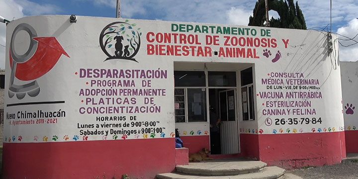 PROPAEM avala acciones de Chimalhuacan a favor del bienestar animal