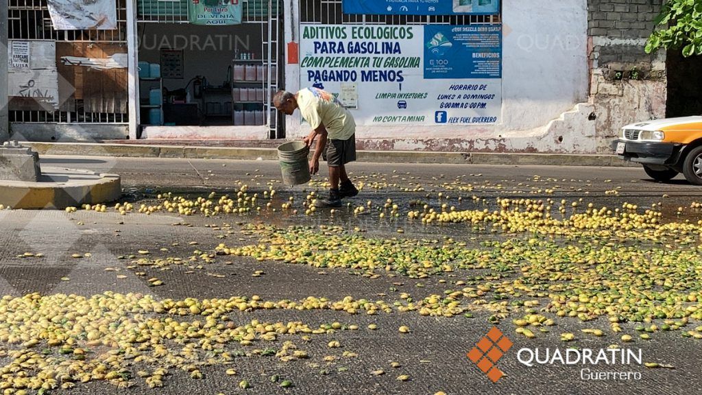 Riegan limones en bulevar de Acapulco para denunciar falta de apoyo, culpan a Álvaro Burgos Barrera