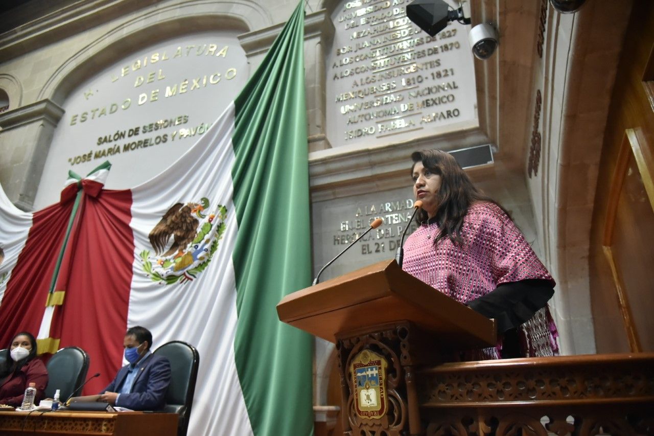 La diputada Xóchitl Flores de Morena planteó una reforma integral a la Ley del Adulto Mayor.