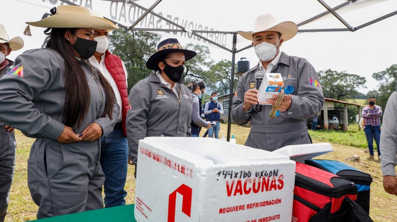 Aplica GEM cerca de 6 mil vacunas a ganad de San Simón de Guerrero