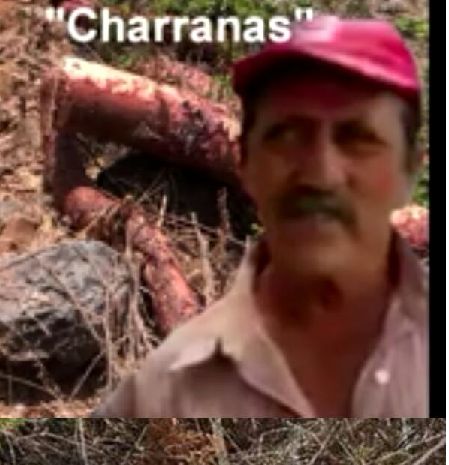 Ex Comisariado invade tierras y causa conflictos agrarios en Mecatán

