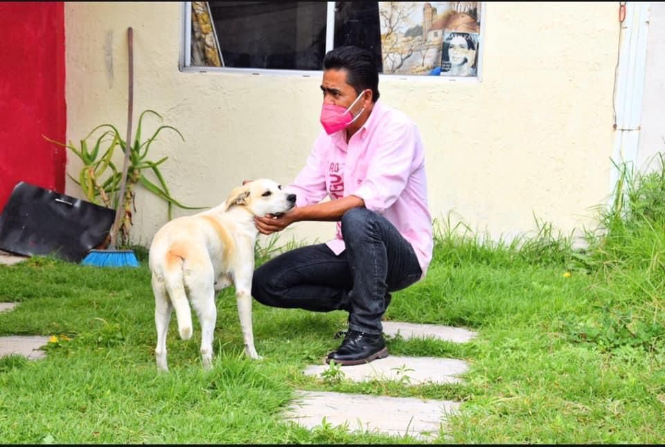 Lalo Medecigo propone módulos para depósito de heces fecales caninas 
