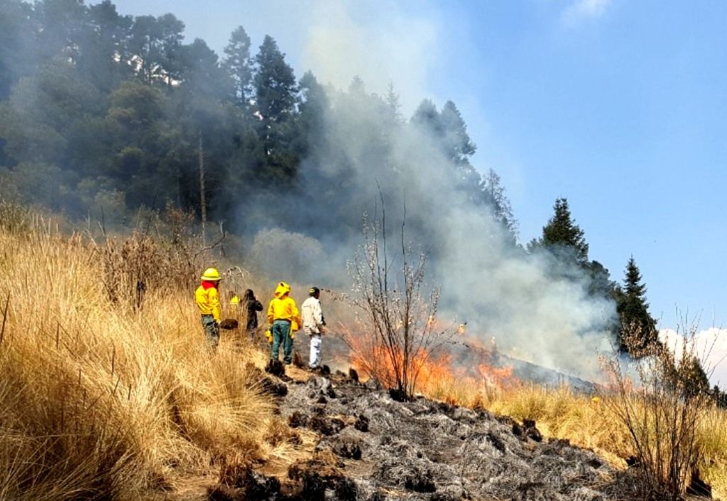El GEM inicia trabajos preventivos contra incendios forestales