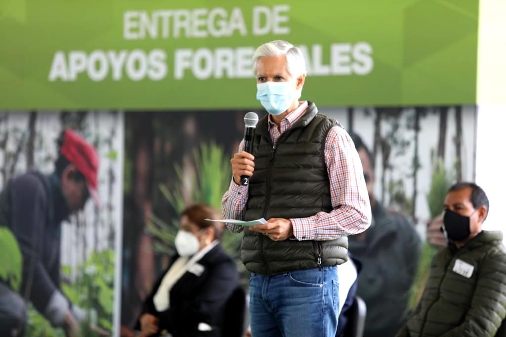 Alfredo del Mazo entrega recursos a plantaciones forestales de 11 municipios mexiquenses