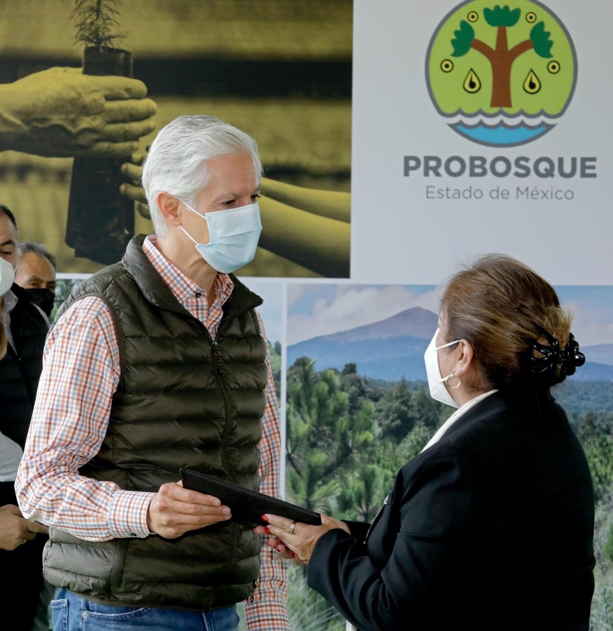 Entrega Alfredo del Mazo recursos a plantaciones forestales de 11 municipios mexiquenses