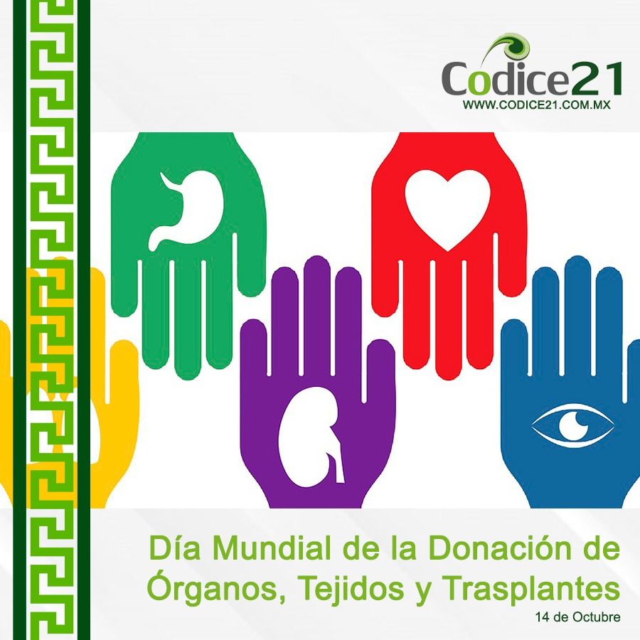 Día Mundial de la Donación de Órganos, Tejidos y Transplantes 