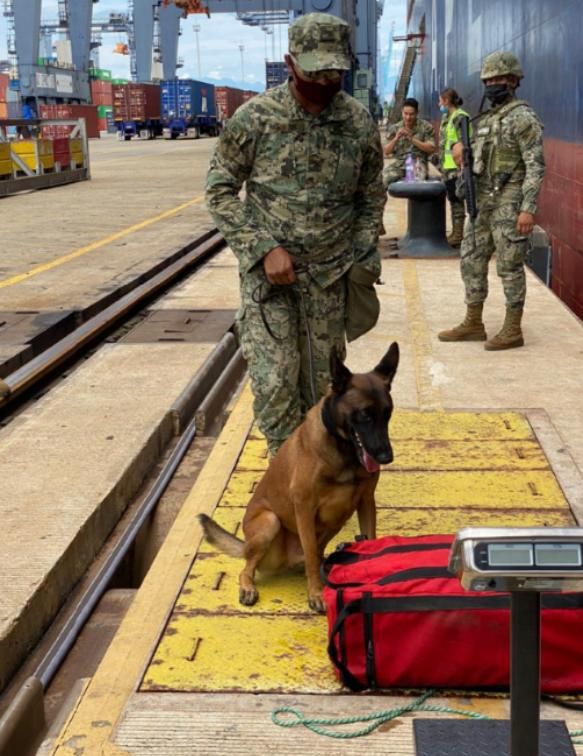Aduanas y Secretaría de Marina-Armada de México decomisan 37 kg de cocaína en la aduana de Lázaro Cárdenas procedente de Colombia