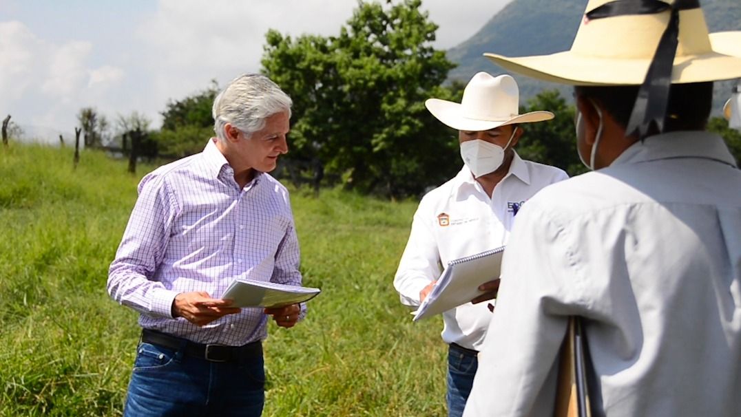 Obtienen ganaderos mexiquenses #certificación para comercializar su producto en los Estados Unidos: Alfredo del Mazo 