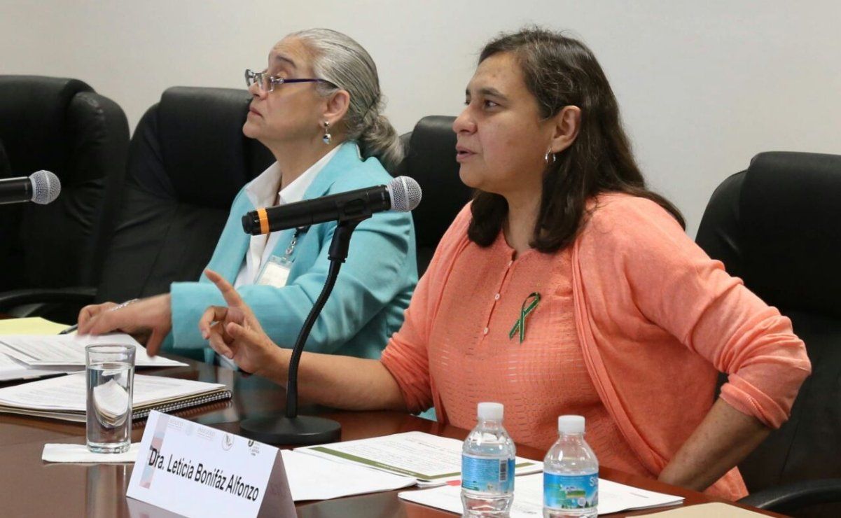 La Dra. Leticia Bonifaz Alonso fue electa como experta en el Comité para la Eliminación de la Discriminación contra la Mujer (Comité CEDAW)