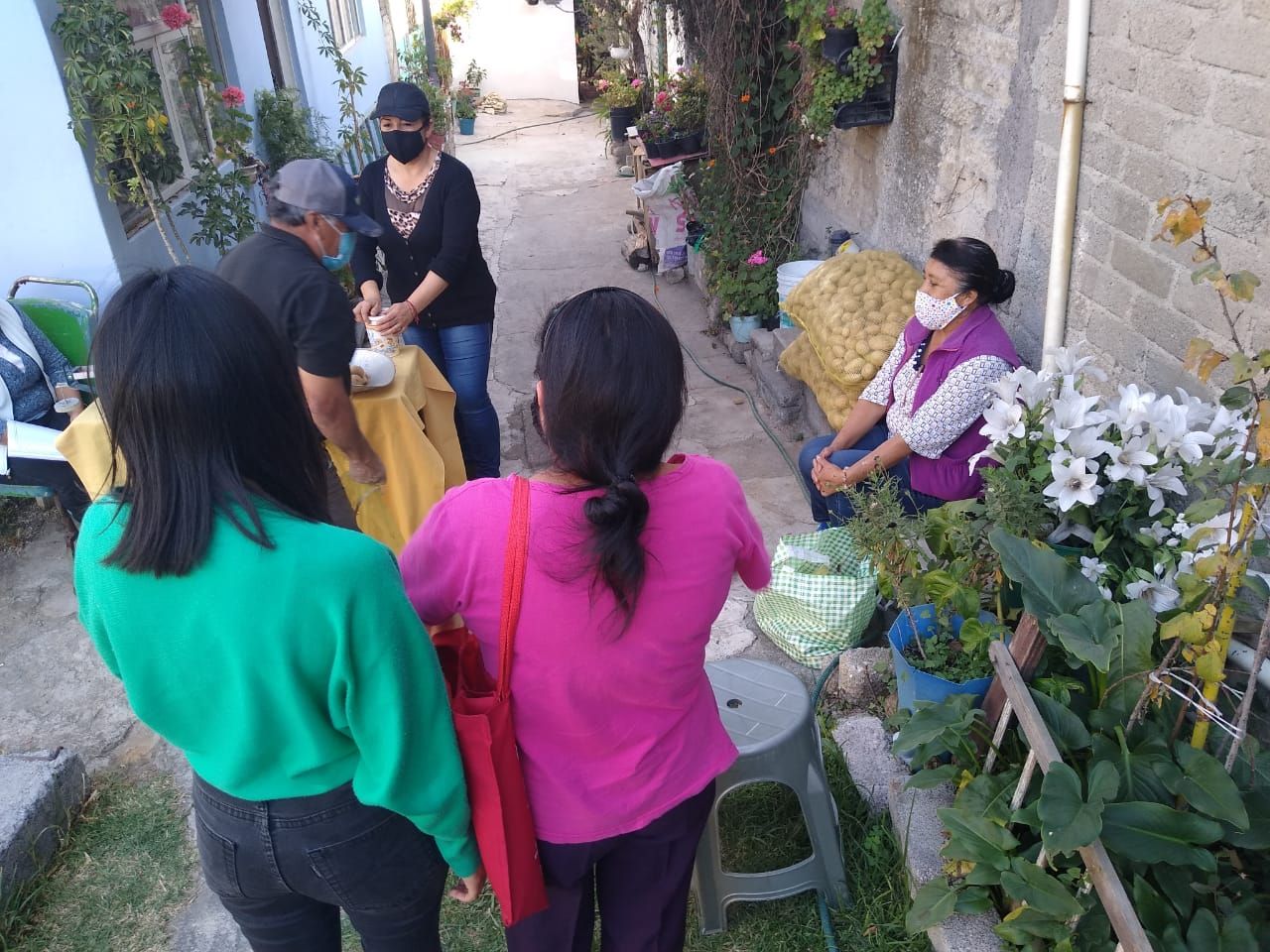 #En apoyo a la economía familiar, Antorcha vende papas a bajo costo