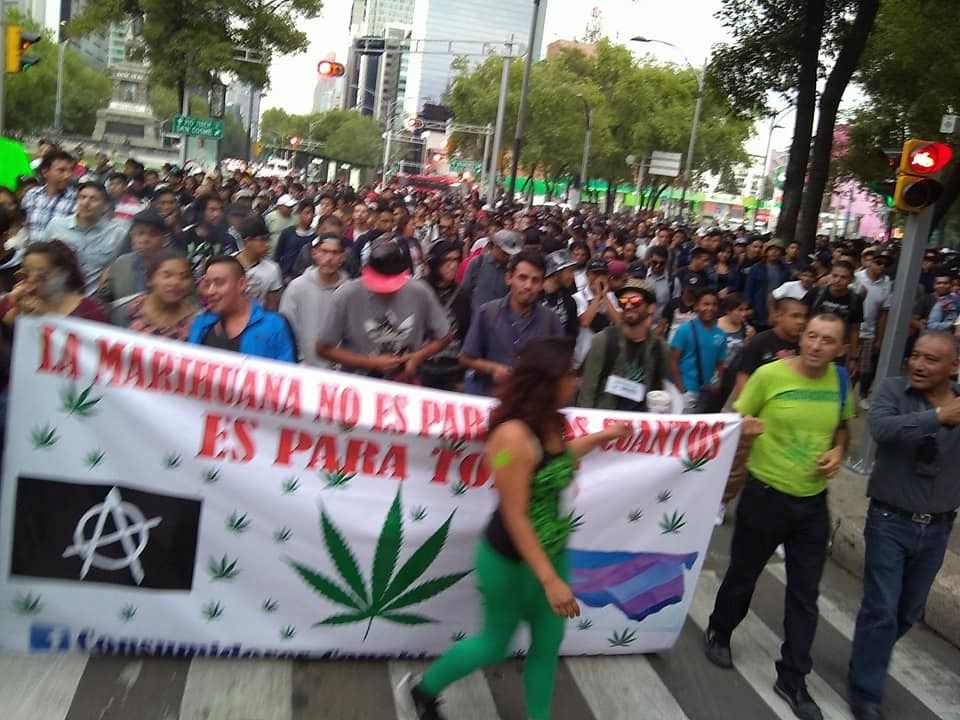 "Ley cannabis", propicia monopolio y narcomenudeo: Mariguana Liberación