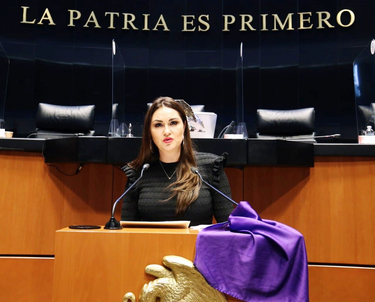 Solicita Geovanna Bañuelos que el Senado de la República condene el feminicidio de Sofía y violencia contra mujeres y niñas 