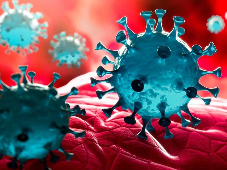 Cifra Récord de contagios por coronavirus en un día: 12, 081