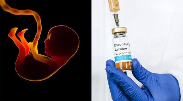Vaticano: Aclaración sobre las vacunas y la conexión con el aborto