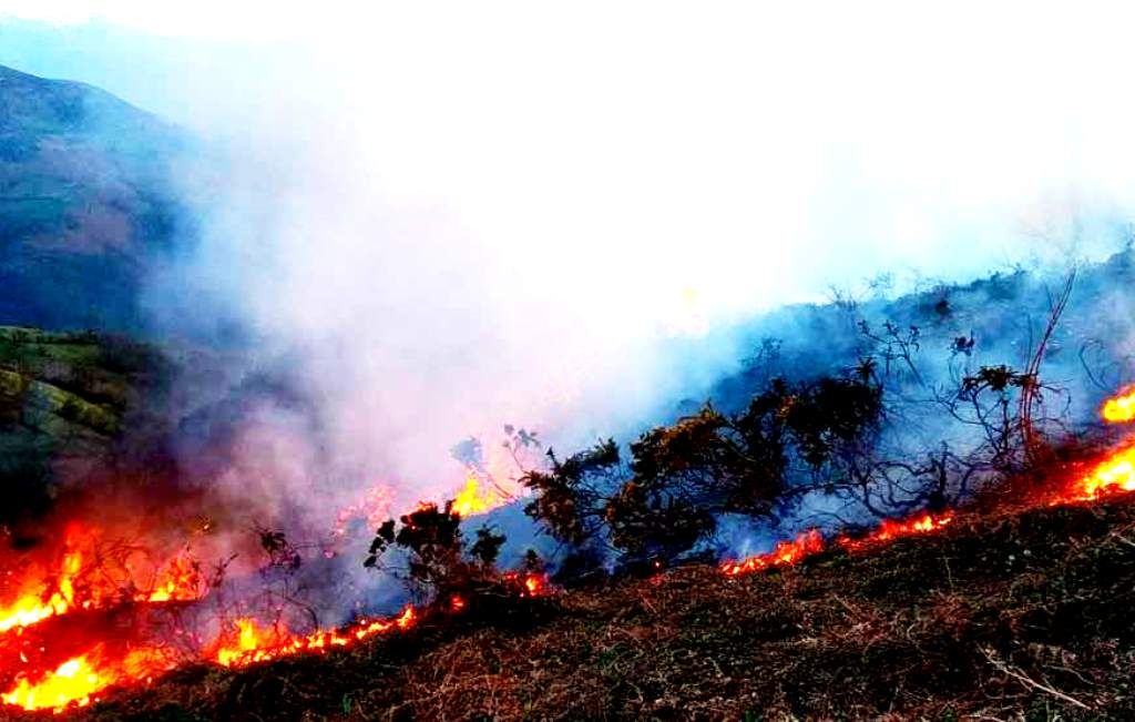 El GEM trabaja en combate de incendios forestales en Región Izta-Popo