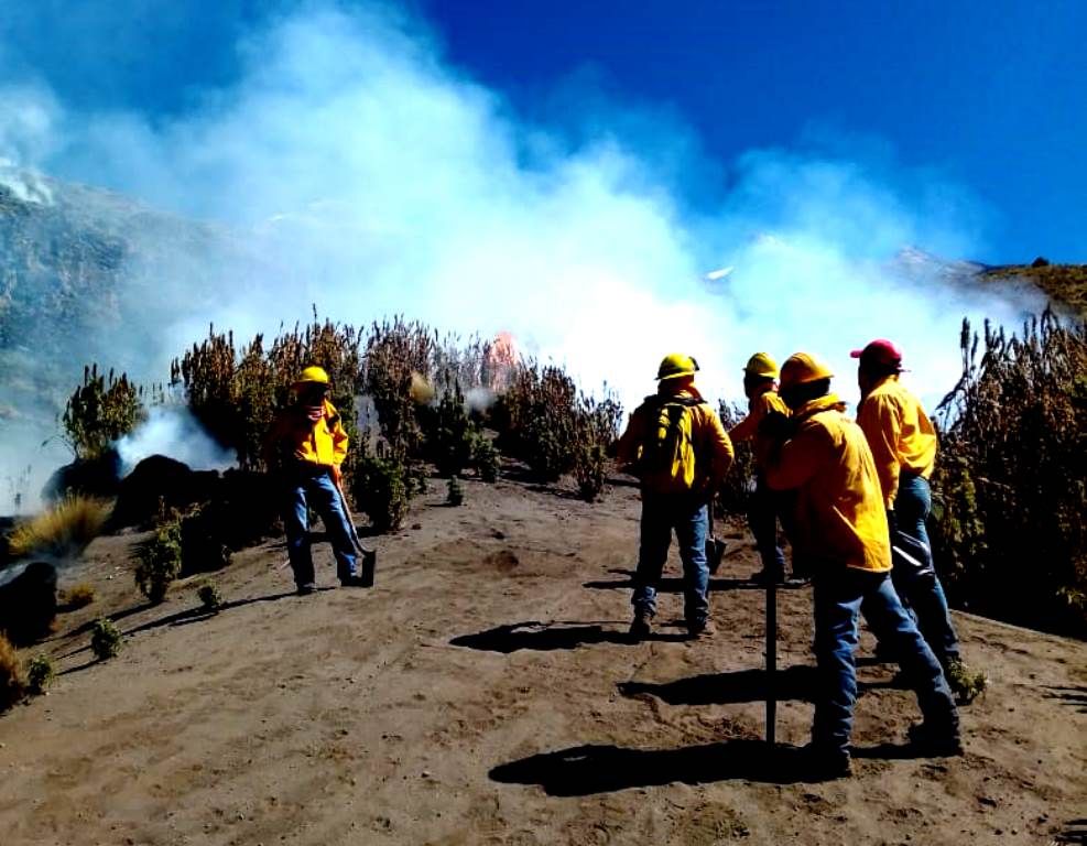 El 90 por ciento avanzan trabajos para concluir el incendio forestal en región Izta-Popo