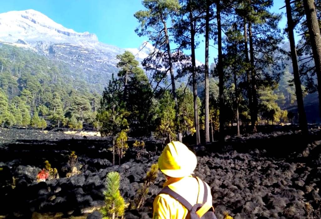 El Estado de México sofoca incendio forestal en Región Izta-Popo
