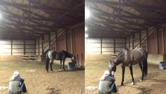 La emotiva reacción de un caballo al ver llorar a su dueña da la vuelta al mundo
