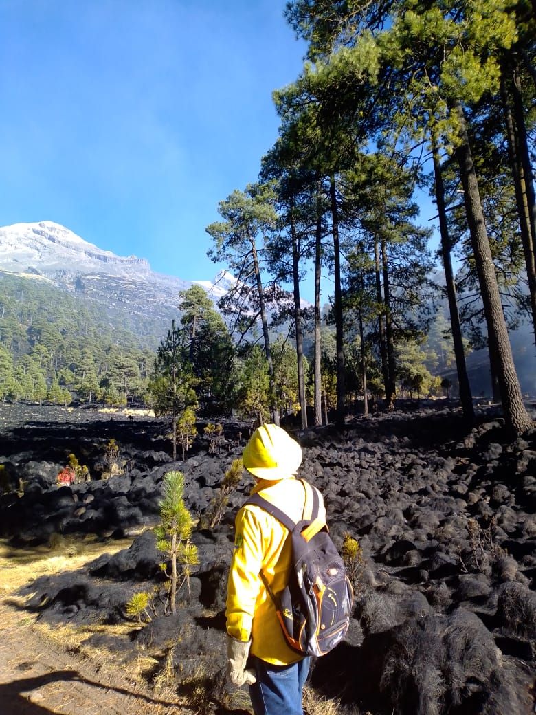 Avanzan 90 por ciento trabajos para concluir con el incendio forestal en Región IZTA-POPO