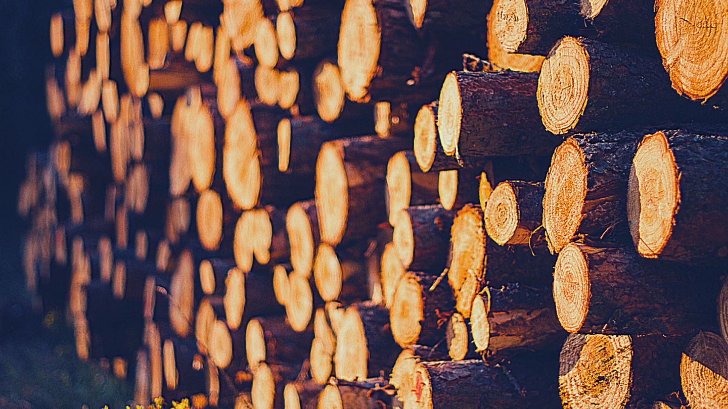 Buscan impedir la importación de madera proveniente de tala ilegal 