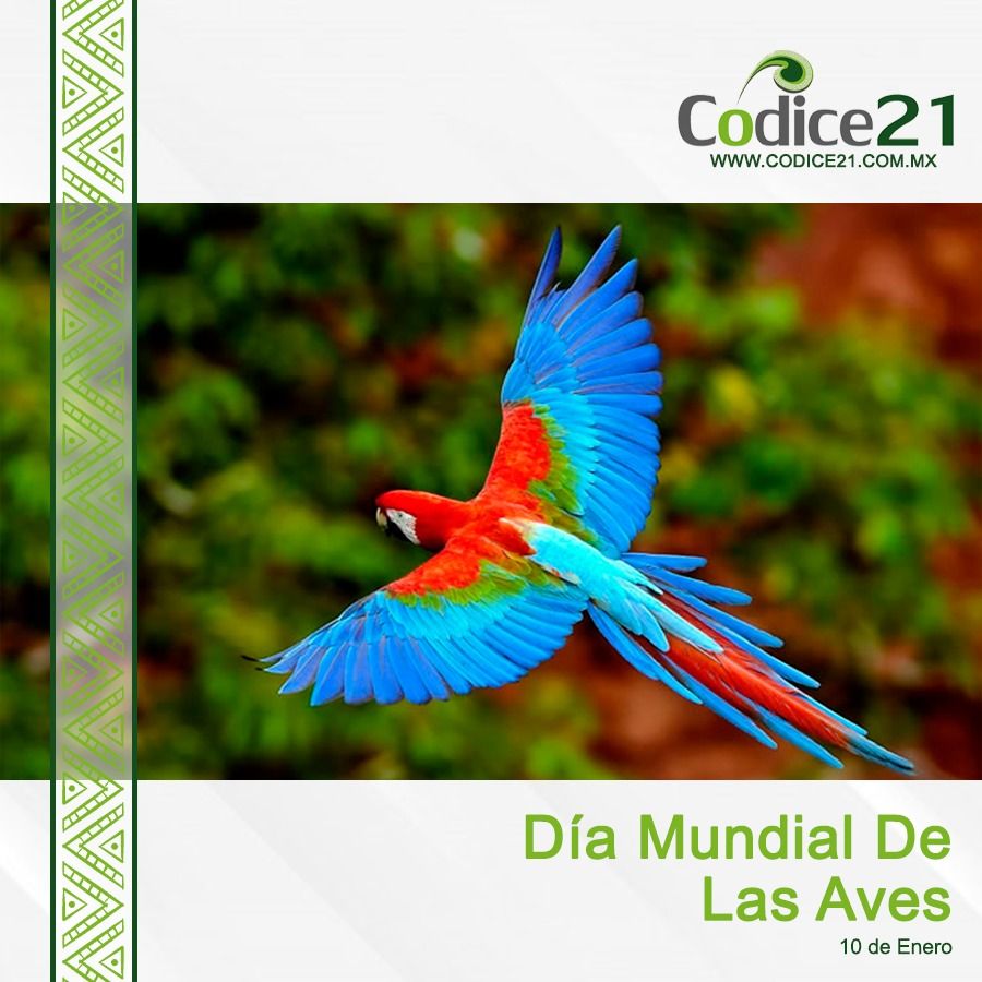 Día Mundial de las Aves