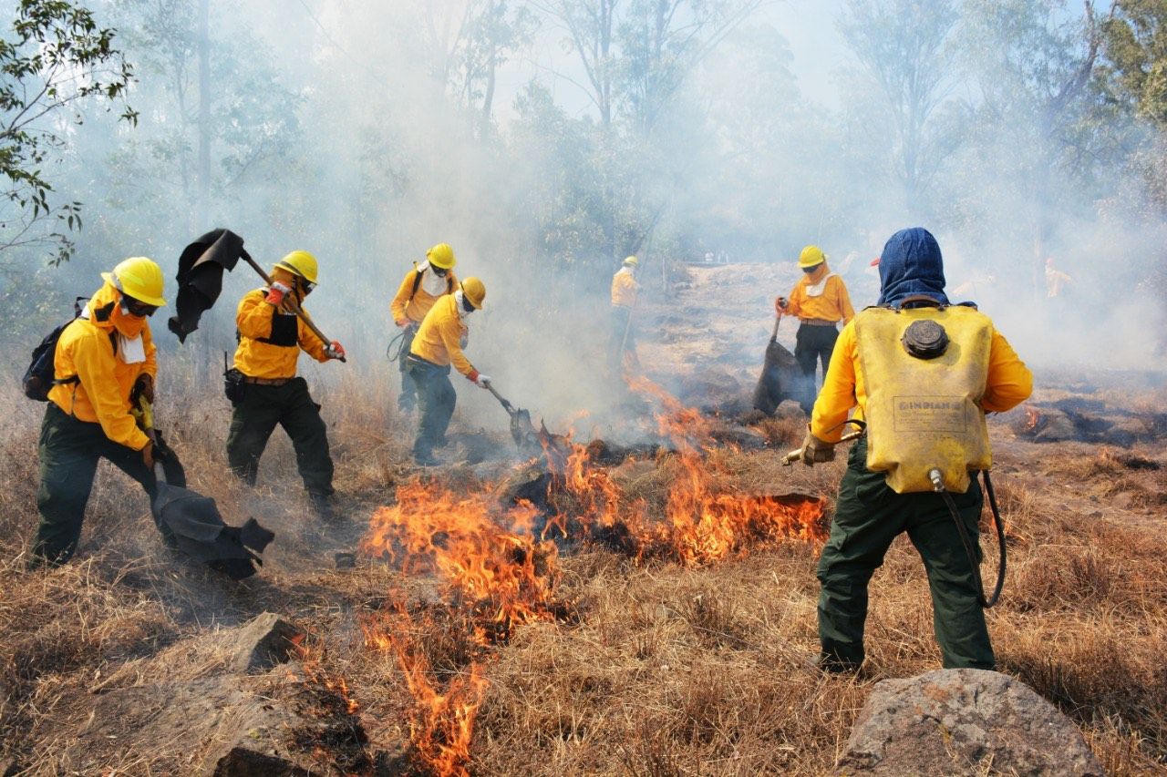 Disminuyen incendios forestales por segundo año consecutivo en áreas naturales protegidas del EDOMÉX