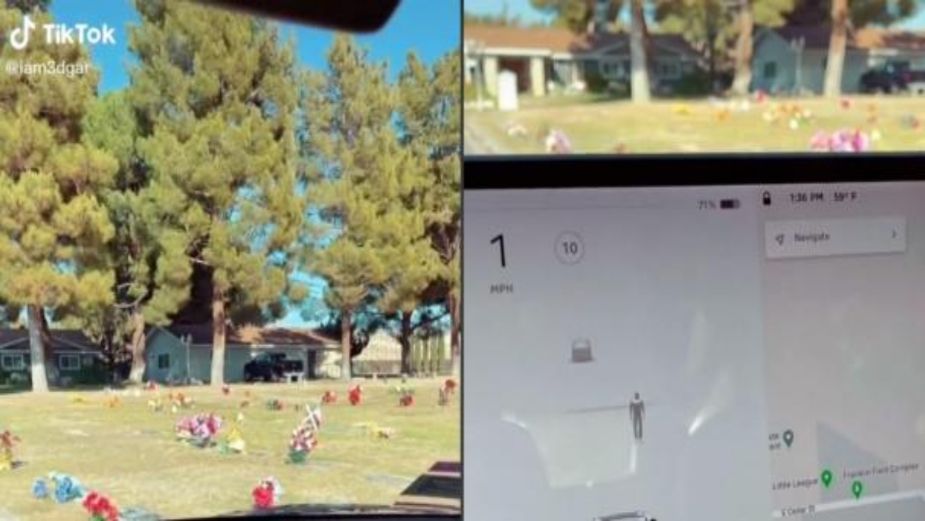 VIDEO VIRAL: Radar de auto Tesla no solo capta personas… también FANTASMAS
