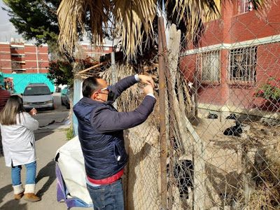 Gobierno de Coacalco rescata a  18 perros hacinados en un edificio de la colonia San Rafael