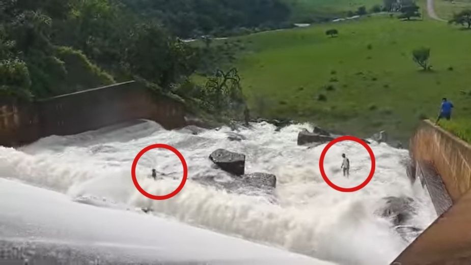 VIDEO VIRAL: Jardinero arriesga su vida para salvar a perro atrapado en una represa

