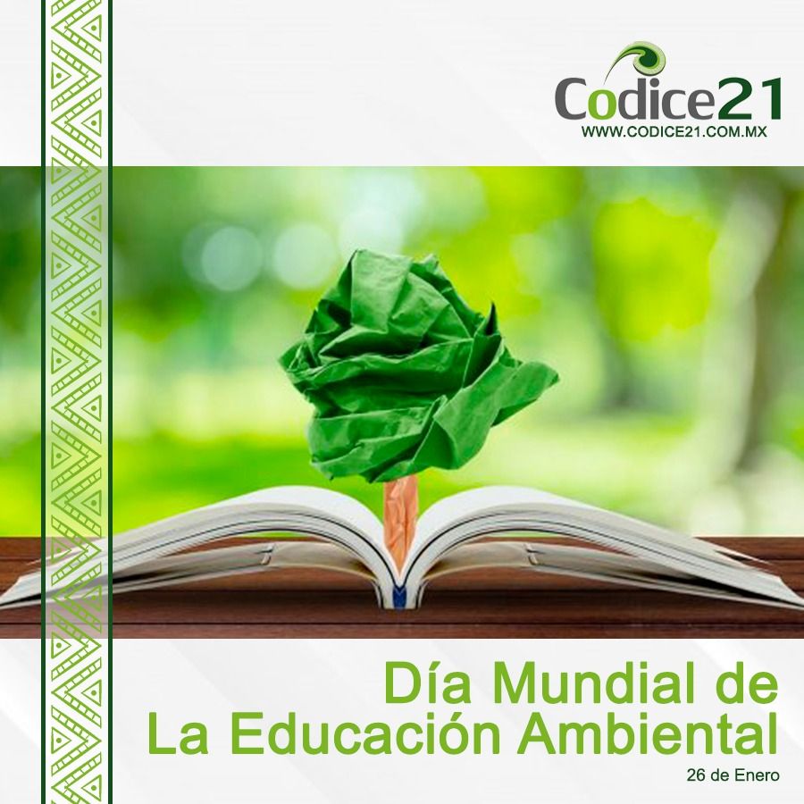 Día Mundial de la Educación Ambiental 