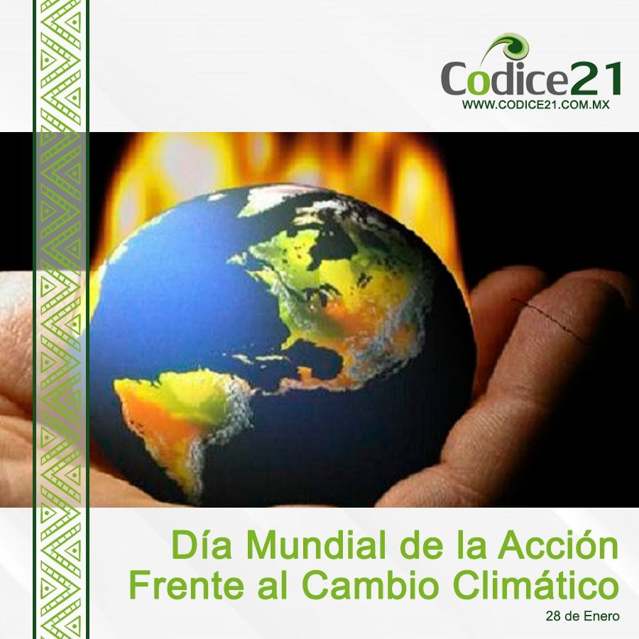 Día Mundial de la Acción Frente al Cambio  Climático