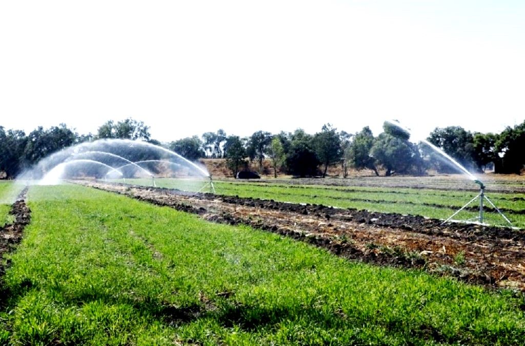 El GEM apoya a productores de Acolman con alternativas de riego agrícola