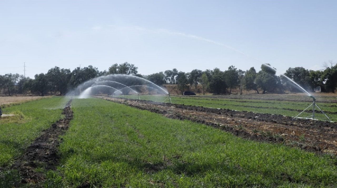 Apoya #gobierno del edomex a productores de #Acolman con alternativas de riego agrícola 