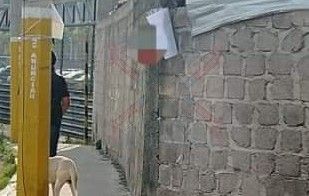 Localizan cabeza de cerdo con mensaje de amenaza colgada afuera de una casa, en Texcoco