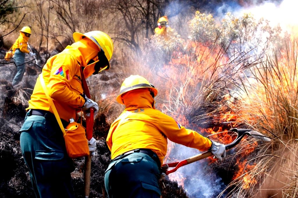 Sofocan 74 incendios forestales en el Edoméx en lo que va del año
