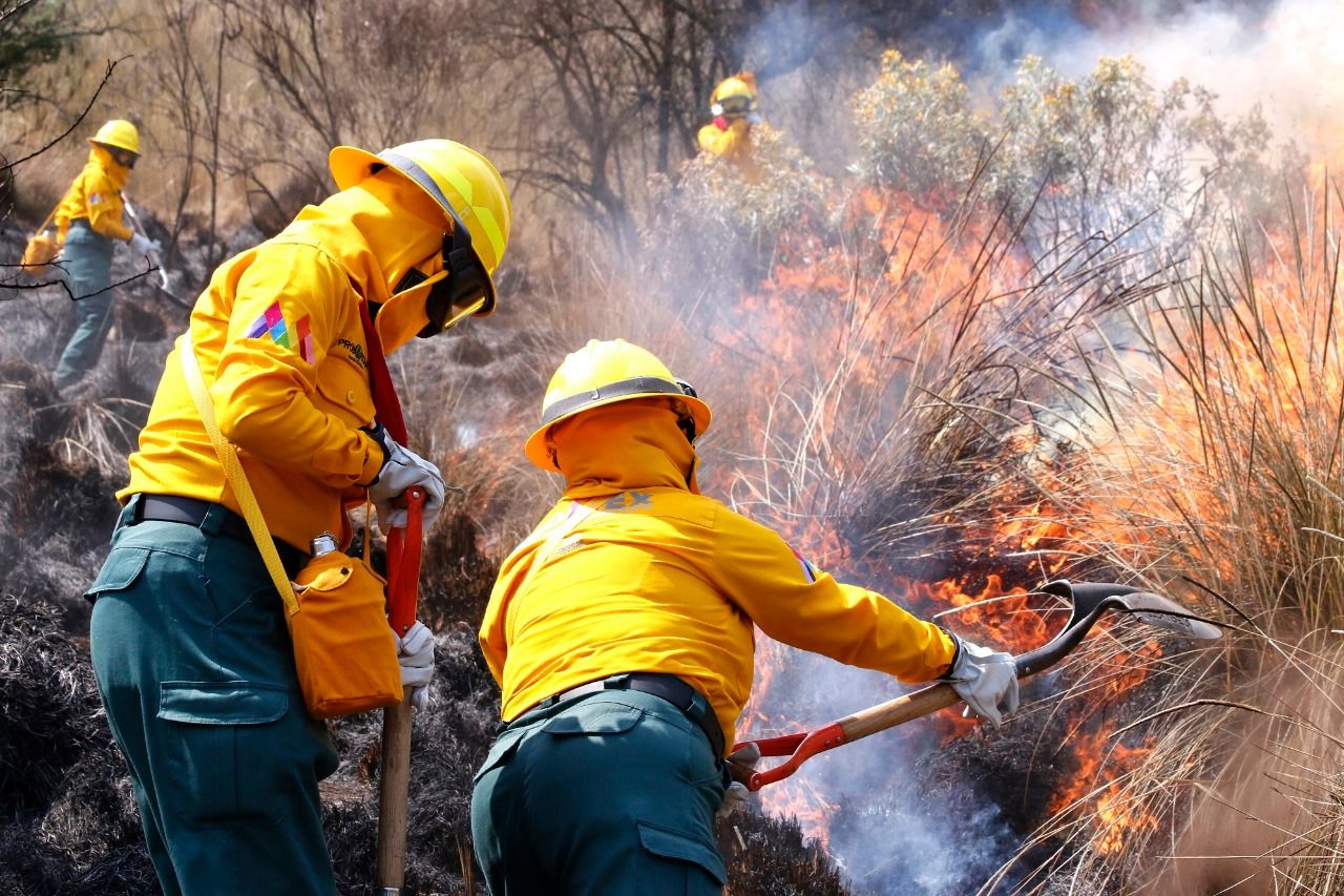 Sofocan 74 #incendios forestales  en el #edomex en lo que va del año 