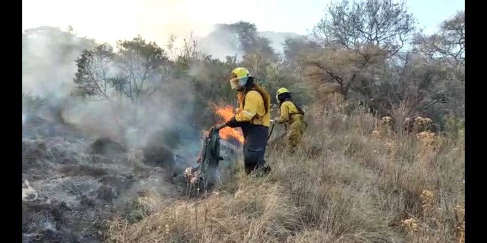 Controlan fuerte incendio de pastizal en Atizapán de Zaragoza