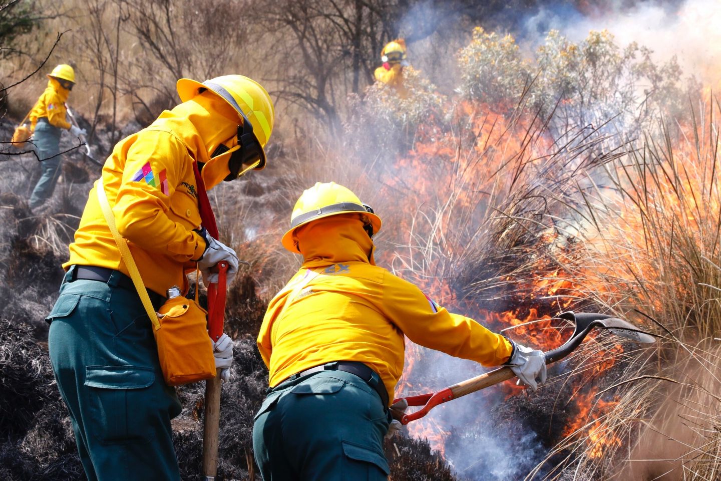 Sofocan 74 incendios forestales en Edomex en lo que va del año 
 