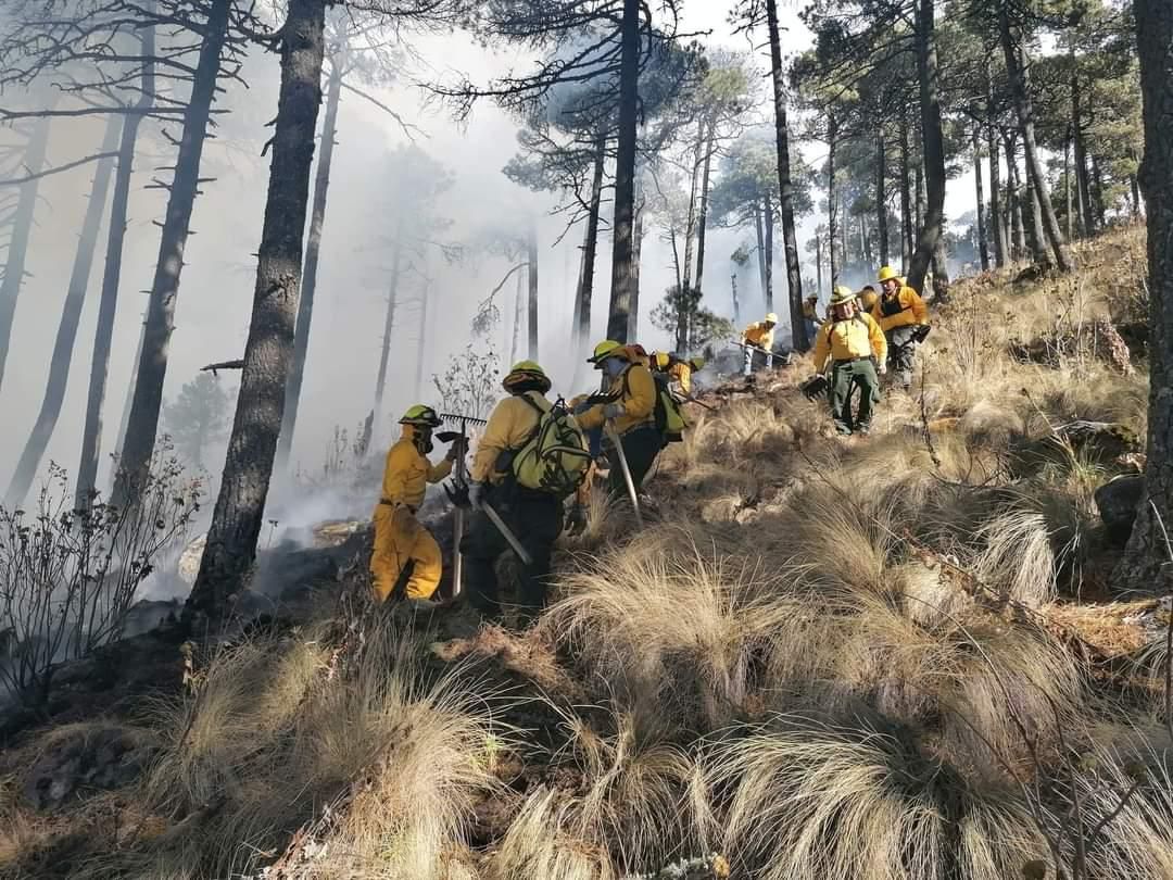 Controlan incendio forestal en Jocotitlan