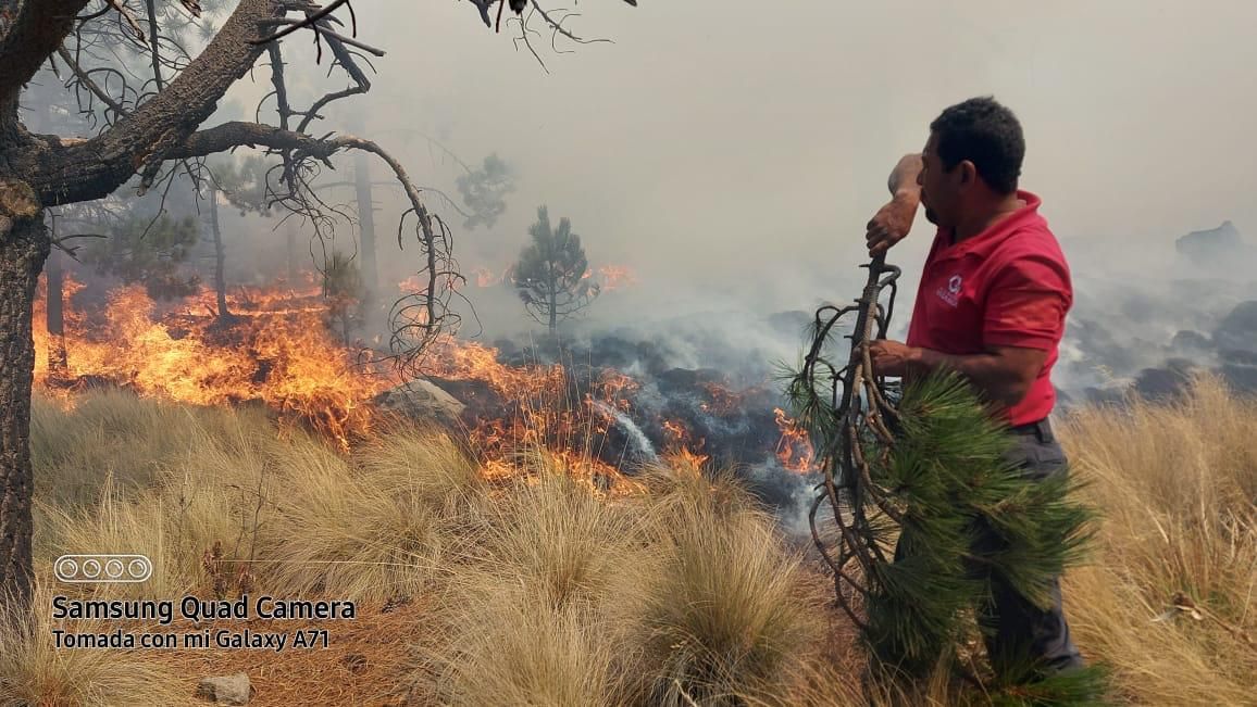 Suman autoridades y servicios de emergencia esfuerzos para combatir incendio en  Ejido de San Juan de las Huertas