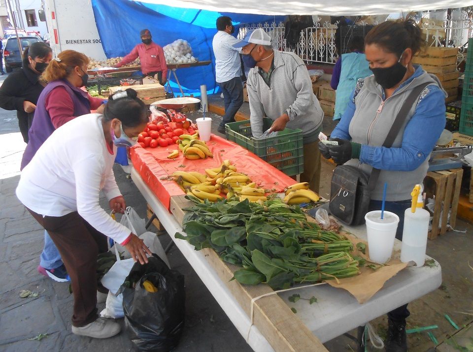 Paquetes de Verduras a Bajo Costo economía en hogares Chiautlenses