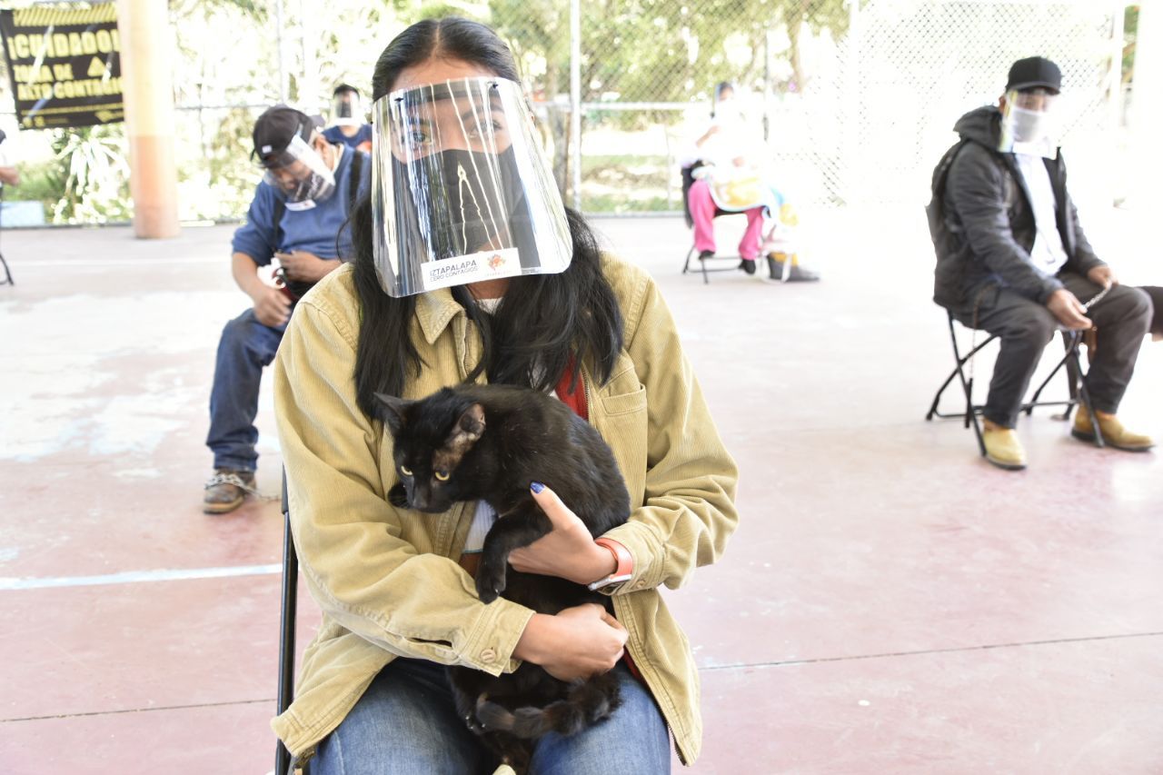#Esterilizará Iztapalapa a 20 mil perros y gatos: Clara Brugada