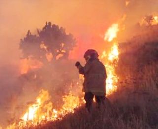 Trabajo Intermunicipal de bomberos permite sofocar incendio en la Purificación Texcoco 